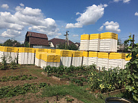 Газобетон КОТТЕДЖ D500 В2.5 625х300х250